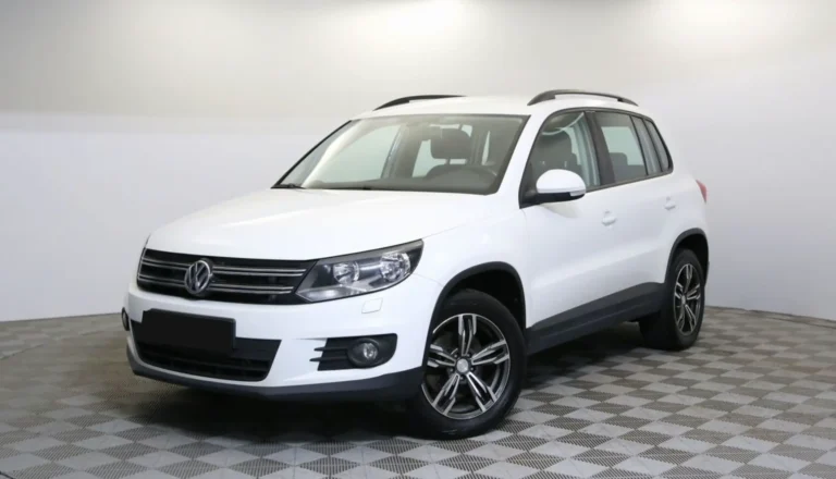 zapobizhniki i rele volkswagen tiguan 2015